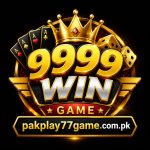9999win game Logo